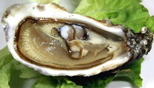 Austern: geballte Zinkpower. Auch Fisch und andere Meeresfrüchte sind zinkreiche Lebensmittel.