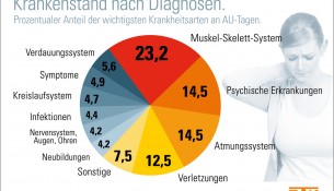Krankmeldungen 2012 nach Diagnosen - DAK-Gesundheitsreport - apotheken-wissen.de