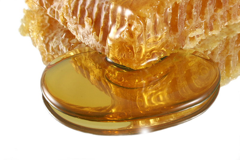 Honig hilft oftmals besser bei der Wundheilung als Antibiotikum.