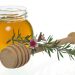 Honig von der Manuka Pflanze (Leptospermum) - apotheken-wissen.de