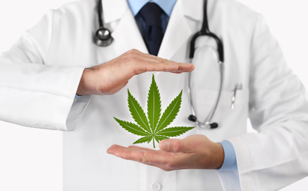 Cannabis als Medizin - apotheken-wissen.de