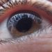 Augentropfen bei gerstenkorn - Die Auswahl unter den analysierten Augentropfen bei gerstenkorn